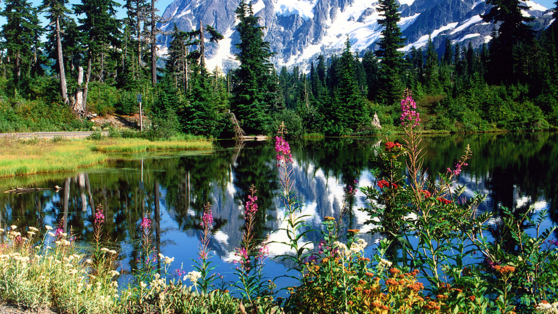 Mountain Hike Bellingham